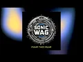 Download Lagu SONIC WAG - pump thick rear (Ma.Bra. Remix) 139 Bpm (C) Maurizio Braccagni #dance #techno #trance