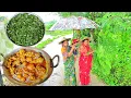 Download Lagu বর্ষাকালে চিকেন কষা , সজনে শাক ভাজা আর গরম গরম ভাত জমিয়ে খাওয়া দাওয়া