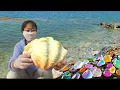 Download Lagu Giant Pacific Pearl Clam. It produces huge colorful pearls. Diamond Beach，Pearl scallop