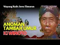 Wayang Kulit Jawa Timuran | Dalang Ki Winoto – Lakon Anoman Tambah Umur | Budaya Rakyat Mojokerto
