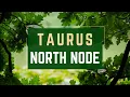 Uncover Your True Destiny What Your Taurus North Node Means for You