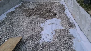                                                     دندنها