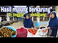 DI TAMBAH SATU KARUNG OLEH PEDAGANG⁉️ BANYAK TOMAT BERKARUNG-KARUNG