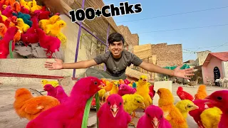 Download Mini Fooj is Back 😍100+ Chiks La Lia 🐥 MP3