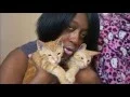 New Edition To The Family 2 Month Old Orange Kittens Craiglist Free Stuff