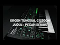 Download Lagu AUDIO MP3 ORGEN TUNGGAL CILEGON - PECAH SERIBU