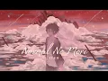 Download Lagu Vietsub | Normal No More Slowed - TYSM | Nhạc Hot TikTok | Lyrics Video
