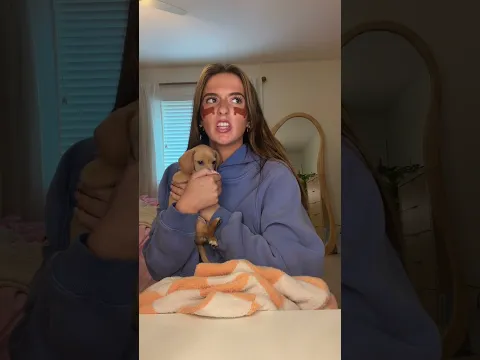 The most aggressive dog you’d ever meet
