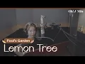 Download Lagu 'Lemon Tree' (Fool’s Garden)｜Cover by J-Min 제이민