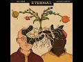Eternal - Barney Artist & Mr Jukes