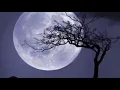 Download Lagu Kashwaq Al- Layaal (Slowed + Reverb)