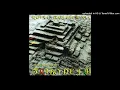 Tribo de Jah Morena Raiz