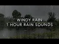 Download Lagu Sleep With Rain - Heavy Rain and Wind - Windy Rain - 1 hour