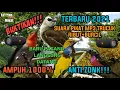 Download Lagu SUARA PIKAT BURUNG TRUCUK KOMBINASI BURCIL/AMPUH 100% ANTI ZONK/TERBARU 2021 Auto panen