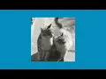 LALAHUTA - 123 || Speed Up