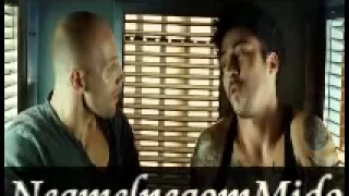 مهرجان الحى    دندنها