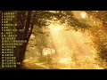 Download Lagu 80分鐘靈修詩歌集1 (純音樂) 80-minute Devotional Hymns Collection 1 (instrumental music)
