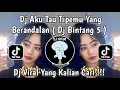 Lagu DJ AKU TAU TIPEMU YANG BERANDALAN | DJ BINTANG 5 TENXI REMIX MENGKANE VIRAL TIKTOK TERBARU 2025