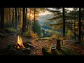 Between the Days Autumn Is Coming Campfire Ambience LIVE