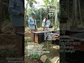 Download Lagu Madu Lanceng Desa Petuguran #madu #lanceng #madumurni #alami