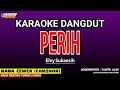 Download Lagu PERIH - KARAOKE DANGDUT | ELVY SUKAESIH