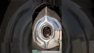 قمر سيدنا النبى مؤمن الجنانى بدون موسيقى طيور الجنة الحرم مكه أناشيد اللهم السعودية 