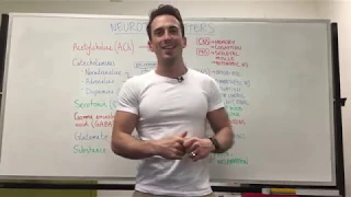 Neurotransmitters Nervous System