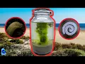 I Put Ocean Water In A Jar Here s What Happened
