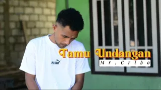 mr cribo tamu undangan lagu tebe terbaru