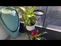 Bamworld Tall Plant Stand Indoor Outdoor - 4 Tier Heavy Duty Corner Metal Flower Pot Stands