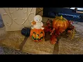 Download Lagu My Fall Decorating Mobile Home Tour and Talk 💙🍁💙🍁💙 !!