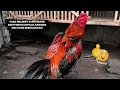 Download Lagu Cara Melihat Ayam Bagus dari Postur Kepala — Rahasia Ciri Ayam Berkualitas!