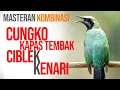 Download Lagu MASTERAN CUNGKOK - KATEM - CIBLEK KRISTAL - KENARI