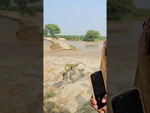 Flood in river Sutlej #shorts #viral #reels
