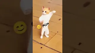 حسب الطلب مريم مصر عمان العراق الجزائر  حسب الطلب مريم مصر عمان العراق الجزائر