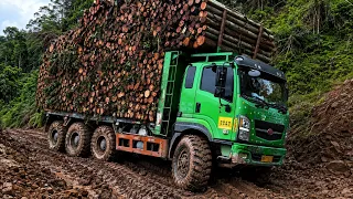 🔥 IMPOSSIBLE MUD! Giant Logging Truck Hauling a Mountain of Timber 🌲🛻💥