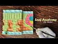 How to make Leaf Anatomy Model Holiday Homework