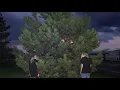 100 gecs - hand crushed by a mallet (Official Audio Stream)