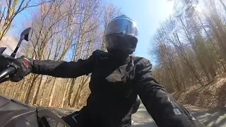                            دندنها