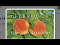 Georgia families struggle to access SNAP EBT cards