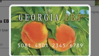 Georgia families struggle to access SNAP EBT cards