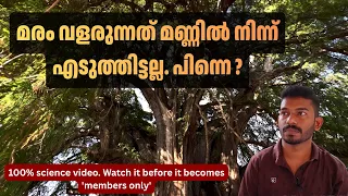 മണ്ണിൽ നിന്നല്ലെങ്കിൽ പിന്നെ മരത്തിന് മാസ്സ് എങ്ങനെ ഉണ്ടാകുന്നു Where do trees get their mass from
