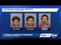 Cape Coral police arrest 3 teens on prowling charges