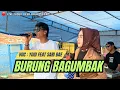 Download Lagu LAGU DAERAH JAMBI_BURUNG BAGUMBAK‼️VOC : YOGI FEAT SARI BAE_ARR : EDI_OFFICIAL ZR MUSIC