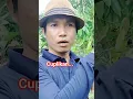 Lagu Sebelum aplikasi kapur dolomit baiknya buat lingkaran dibawah kanopi pohon durian 🌲 #kapurdolomit