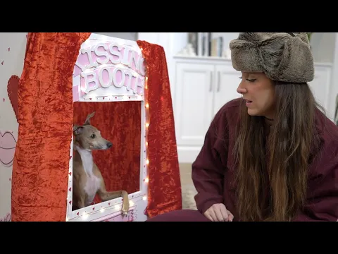Dog Kissing Booth