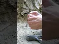 Download Lagu Digging up Dinosaur Bones and Teeth! 75 million year old History! Found a nice tooth on my Dig Site!