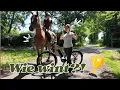 Download Lagu E-bike VS Paard!  || Equitality Touroll