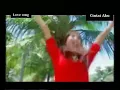 Bunga ditaman - penty nur afiani