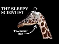 The Strange World of Animal Sleep The Sleepy Scientist